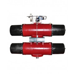 CWTVALVE 氣動(dòng)執(zhí)行器系列