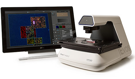 Invitrogen EVOS FL Auto 2智能全自動熒光顯微成像系統(tǒng)